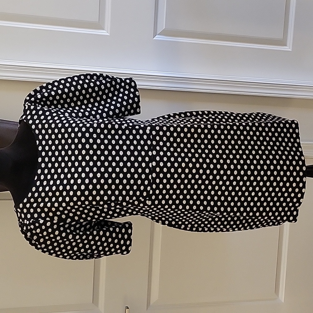 Ann Tylor Polka Dot dress